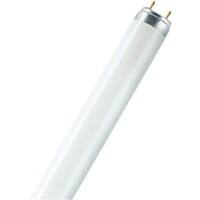 Ampoule fluorescente Osram Tubular Mat G13 36 W Blanc froid 25 Unités