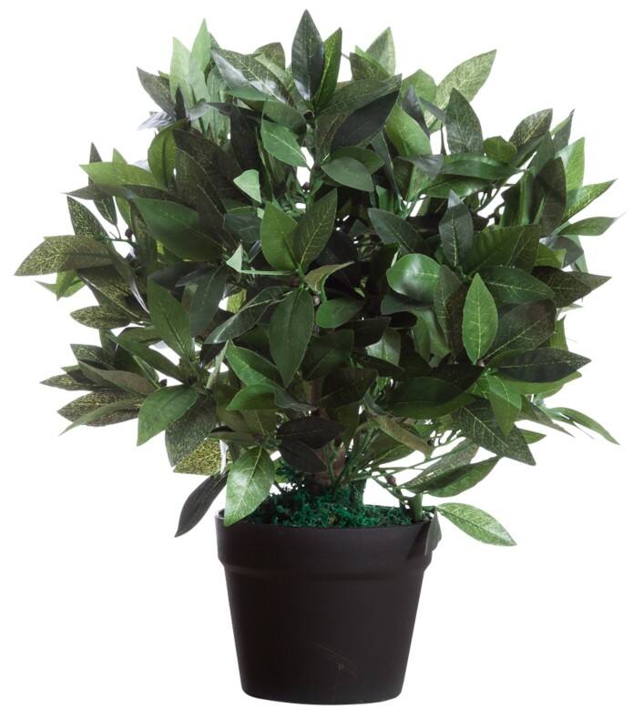Plante artificielle meet powered by PAPERFLOW Le Laurel Bois, PL (Polyester) 50 cm Assortiment