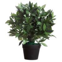 Plante artificielle meet Le Laurel Bois, PL (Polyester) 50 cm Assortiment