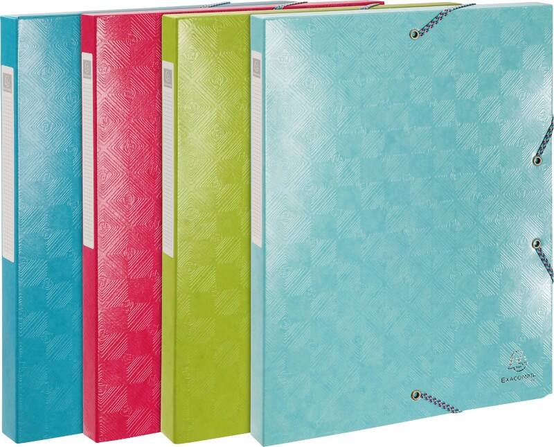 Boîte d'archivage Exacompta 59220E A4 Élastique 25 (L) x 33 (H) cm Assortiment 2,5 cm 8 Unités