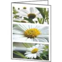 Sigel Wenskaarten Bloemen Universal DC171 25 Stuks