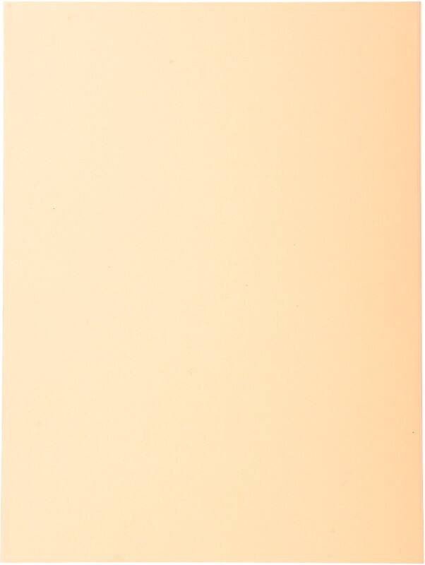 Exacompta Forever Farde à bord décalé A4 Crème Manille Recyclé 100% 220 g/m² 500 Unités