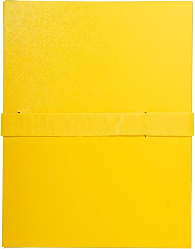 Fardes extensibles Exacompta 2649E A4 Jaune PP 24 x 32 cm 10 Unités