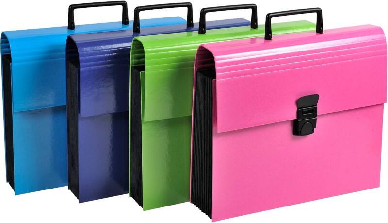 Exacompta Sorteermappen 55630E Kleurenassortiment Gevlekt karton bedekt met papier 32 x 24 cm 4 Stuks