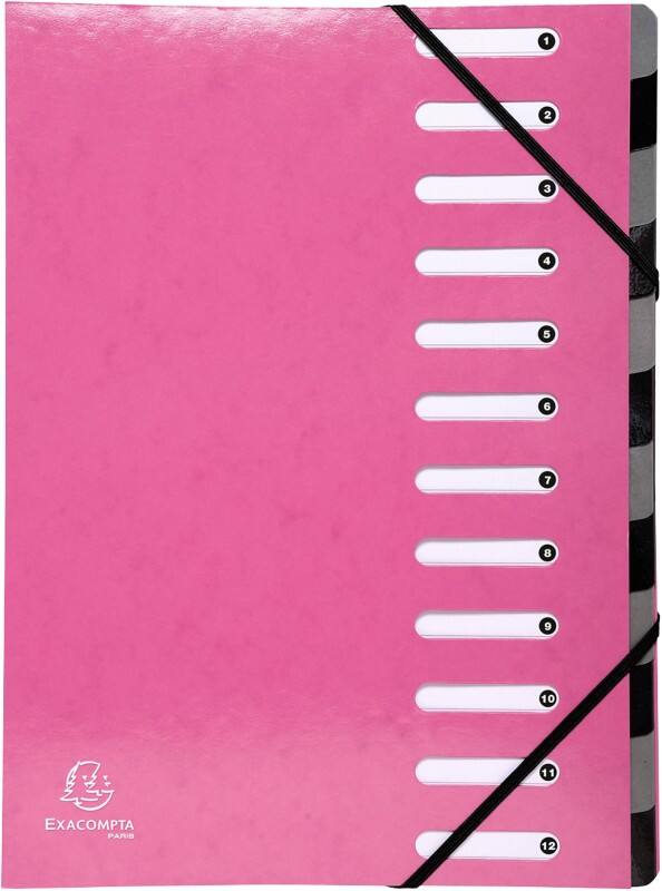 Fardes extensibles Exacompta Harmonika 53928E A4 Rose Carton 24,5 x 32 cm 6 Unités