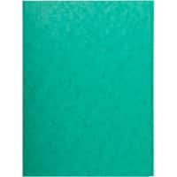 Exacompta 3-flap mappen 56415E Groen Geplastificeerd karton 24 x 0,3 x 32 cm 25 Stuks