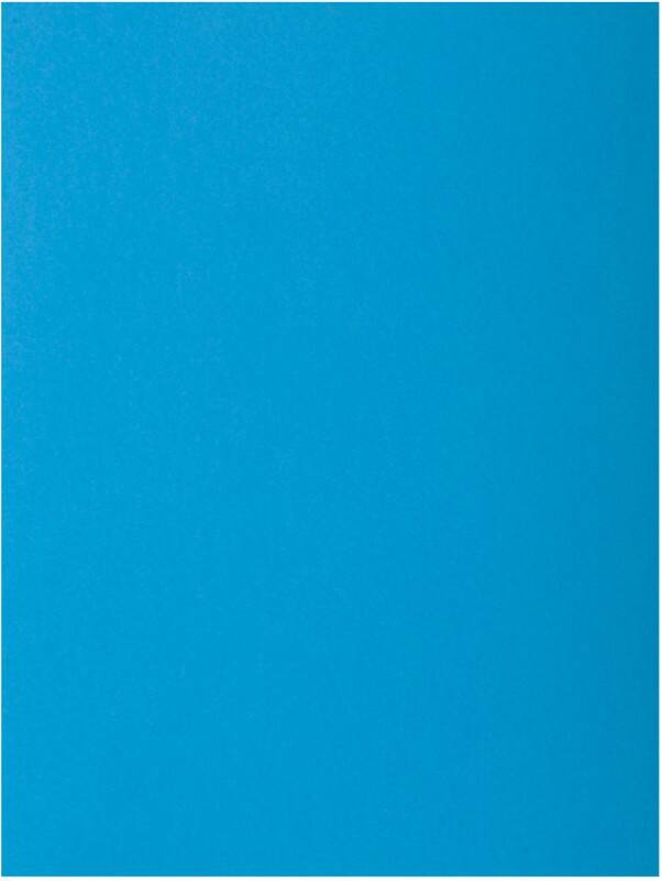 Exacompta 2-flap mappen 216019E Blauw Karton 24 x 32 cm 250 Stuks