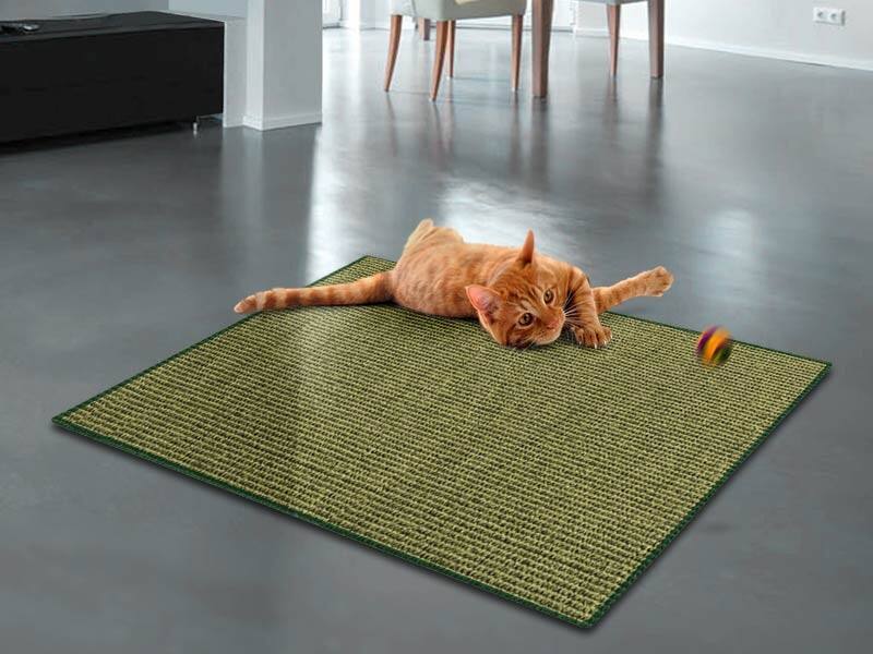 Tapis Griffoir Pour Chat Casa Pura Sisal Hay 100 X 100 Cm Viking Direct Be