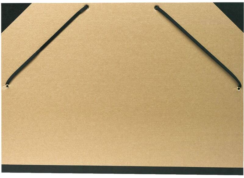Cartons à dessin Exacompta 544100E Carton 320 mm x 450 mm Brun 10 unités