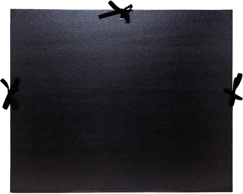 Cartons à dessin Exacompta 25738E Carton A3 Noir 5 unités