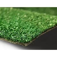 Gazon artificiel Casa Pura Spring PE, PP, latex vert 1,000 x 5,000 mm