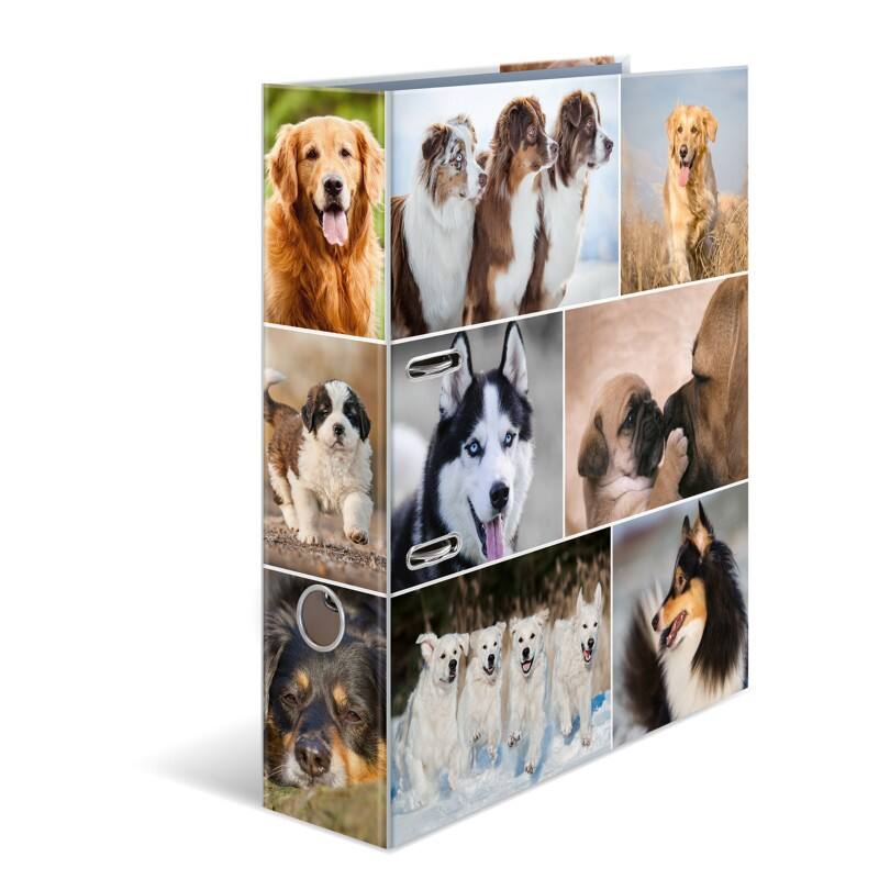 HERMA Motif Breed Classeur A4 70 mm Kleurenassortiment 2 Ringen 7165 Karton Glad Staand 10 Stuks