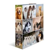 HERMA Ordner A4/A5 70 mm Kleurenassortiment 2 ringen 7165 Karton Glad Staand 10 Stuks