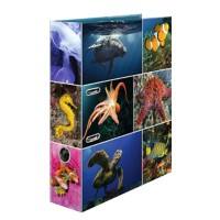 HERMA Animals Sea Creatures Classeur A4 70 mm Kleurenassortiment 2 ringen 7203 Karton Glad Staand 10 Stuks