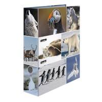 Classeur à levier HERMA Animals Ice Worlds A4 70 mm Assortiment 2 anneaux 7204 Carton Lisse Portrait 10 Unités