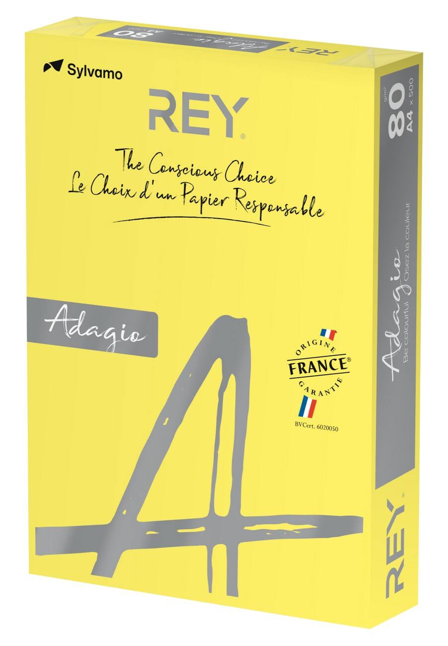 Rey gekleurd print-/ kopieerpapier A4 120 gram Intens geel 250