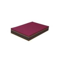 Tutorcraft Multikleur Suikerpapier r 51 met 63,5 cm 10 verschillende kleuren met 10 vellen per kleur
