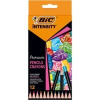 Crayon de couleur effaçables BIC Intensity Assortiment 12 unités
