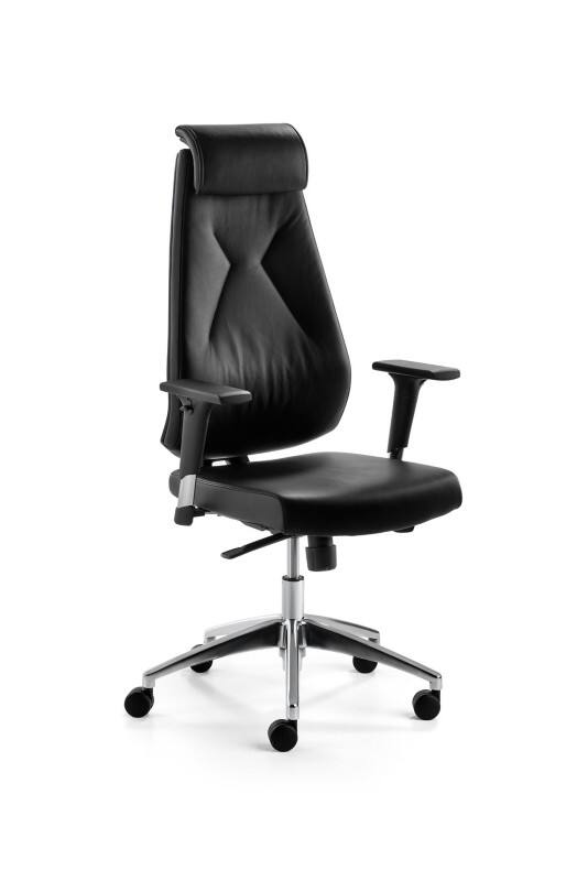 Siège de bureau mayer sitzmöbel Mécanisme synchrone Accoudoirs réglables en hauteur Noir 120 MyBESTMIND