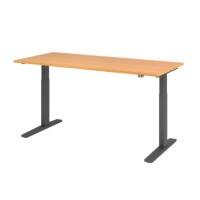 Bureau assis-debout Hammerbacher VXMKA19/6/G Hêtre 1 800 x 800 mm