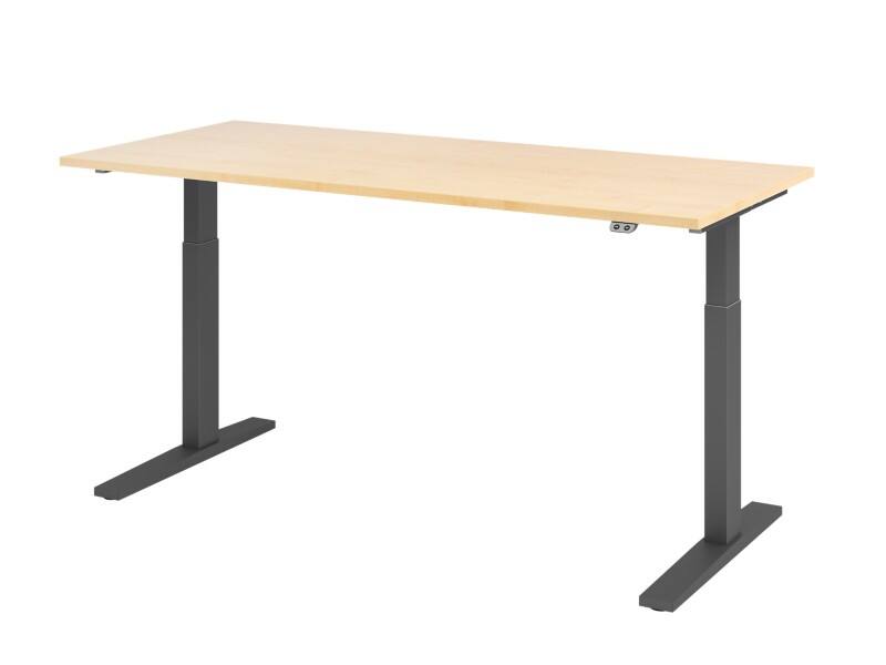 Bureau assis-debout Hammerbacher VXMKA Hauteur ajustable électriquement Érable C-Pied 1800 (L) x 800 (P) x 1200 (H) mm Acier, Aggloméré