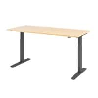 Bureau assis-debout Hammerbacher VXMKA19/3/G Érable 1 800 x 800 mm