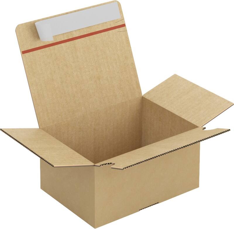 Caisse en carton Raja Marron 215 x 155 x 110 mm 20 Unités
