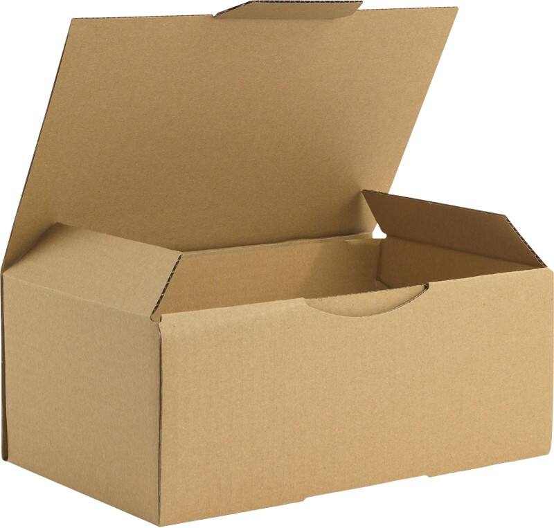 Boîte d'expédition Raja Marron 250 x 150 x 100 mm 50 unités