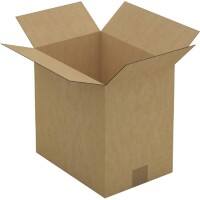 RAJA Boîte d'expédition Paroi simple Carton 220 (l) x 300 (P) x 310 (H) mm Brun 25 Unités