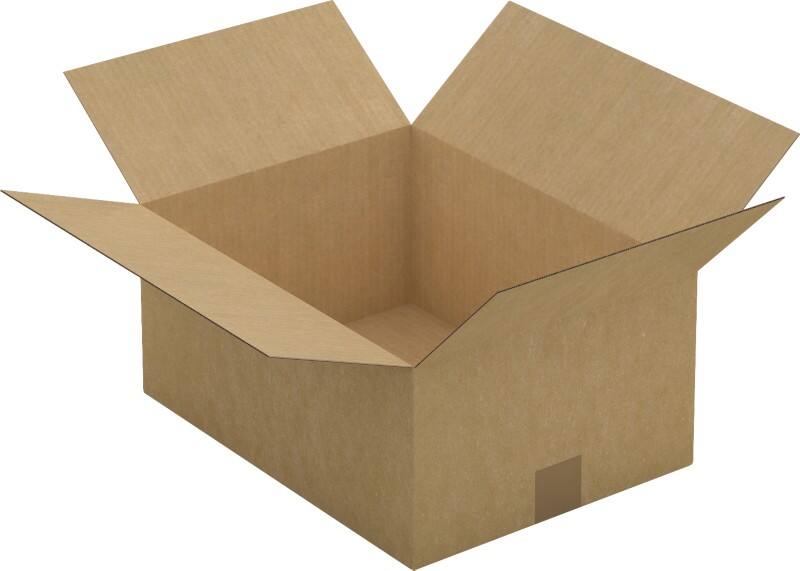 RAJA Verzenddoos Enkele Wand Karton 300 (B) x 180 (D) x 400 (H) mm Bruin 25 Stuks