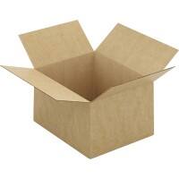 RAJA Boîte d'expédition Paroi simple Carton 200 (l) x 150 (P) x 250 (H) mm Brun 20 Unités