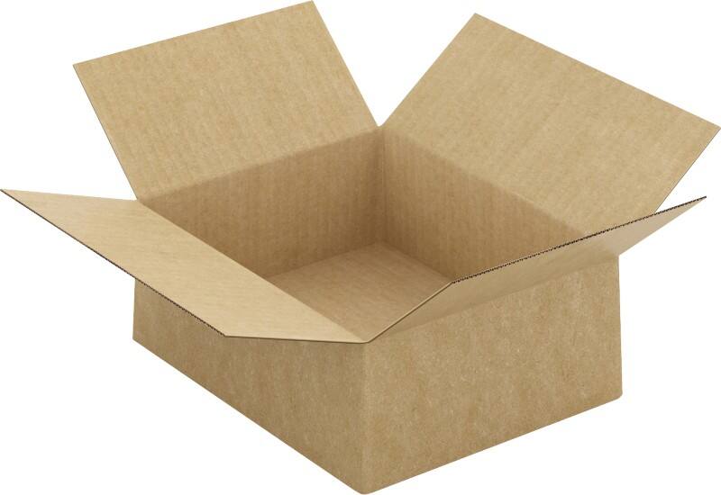 Caisse en carton Raja Marron 250 x 200 x 100 mm 20 unités