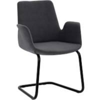 Fauteuil Mayer Sitzmöbel Anthracite PL (Polyester)