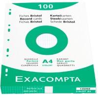 Fiches Exacompta 13606E A4 Blanc 21,3 x 30 x 2,5 cm 10 unités