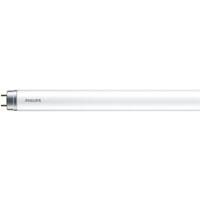 Ampoule Philips 929001338121 19,5 W Blanc froid