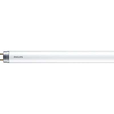 Ampoule Philips 929002011321 19,5 W Blanc