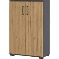 Armoire de classement GERMANIA GW-Profi 2.0 ABS (Acrylonitrile butadiène styrène), Aggloméré, Mélamine 800 x 400 x 1230 mm Brun, gris foncé