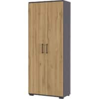 Armoire de classement GERMANIA GW-Profi 2.0 ABS (Acrylonitrile butadiène styrène), Aggloméré, Mélamine 800 x 400 x 2000 mm Brun, gris foncé