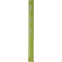 Portemanteau mural GERMANIA 3255-184 3 patères Ultra-brillant 15 x 4 x 170 cm Vert