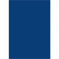 Plaquette magnétique MAUL Bleu 20 x 30 cm