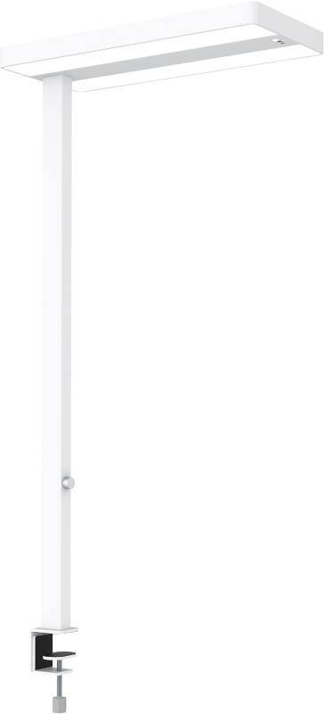 Lampe sur pied Maul MAULjuvis Fixation pince LED (capteur, réglable) Blanc Principale 280 x 610 x 1200 mm