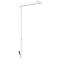 Maul MAULjuvis Klembaar Vloerlamp LED (dimbaar) Wit Netstroom 280 x 610 x 1.200 mm