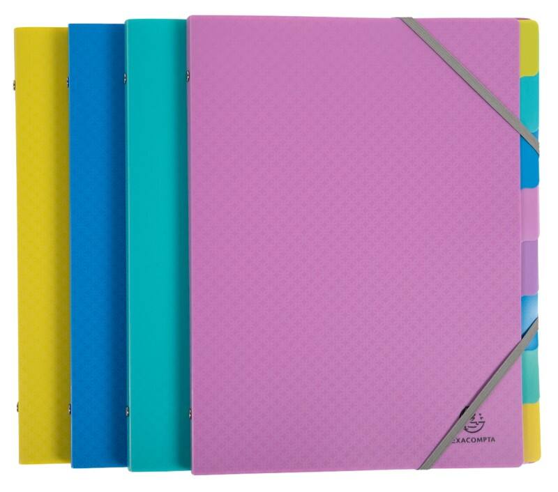 Trieur Exacompta 56190E Forever Young A4 PP (Polypropylène) Assortiment 24,5 (l) x 1 (p) x 32 (h) cm 8 unités