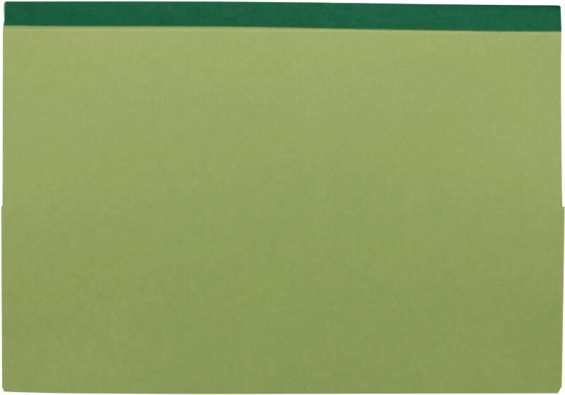 Exacompta Guildhall Documentmap 218-GRNZ A4, Foolscap Manila 35,5 (B) x 0,6 (D) x 24,9 (H) cm Groen 25 Stuks