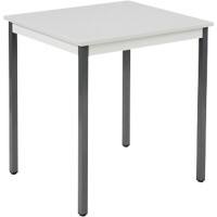 Table Sodematub Acier Gris 700 x 600 x 740 mm