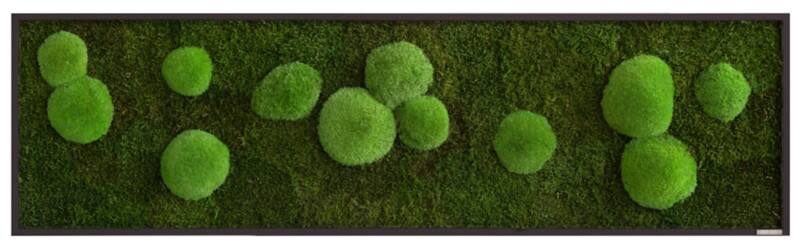 Mur de mousse best of GREEN 140 x 4 x 40 cm