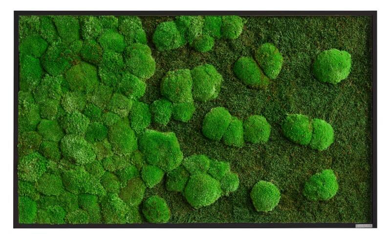 Mur de mousse best of GREEN 100 x 4 x 60 cm