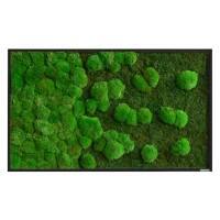 Mur de mousse best of GREEN 100 x 4 x 60 cm