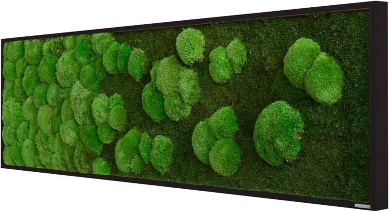 Mur de mousse best of GREEN 140 x 4 x 40 cm