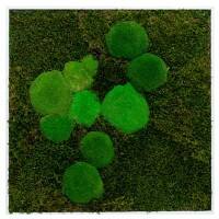 Mur de mousse best of GREEN 60 x 4 x 60 cm